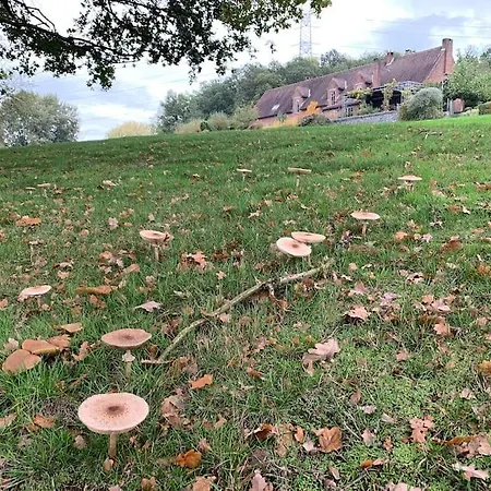 Maison Au Milieu D Un Paysage 펜션 *